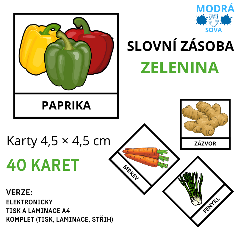 Základní slovní zásoba ZELENINA (40 kartiček), kartičky 4,5 x 4,5 cm